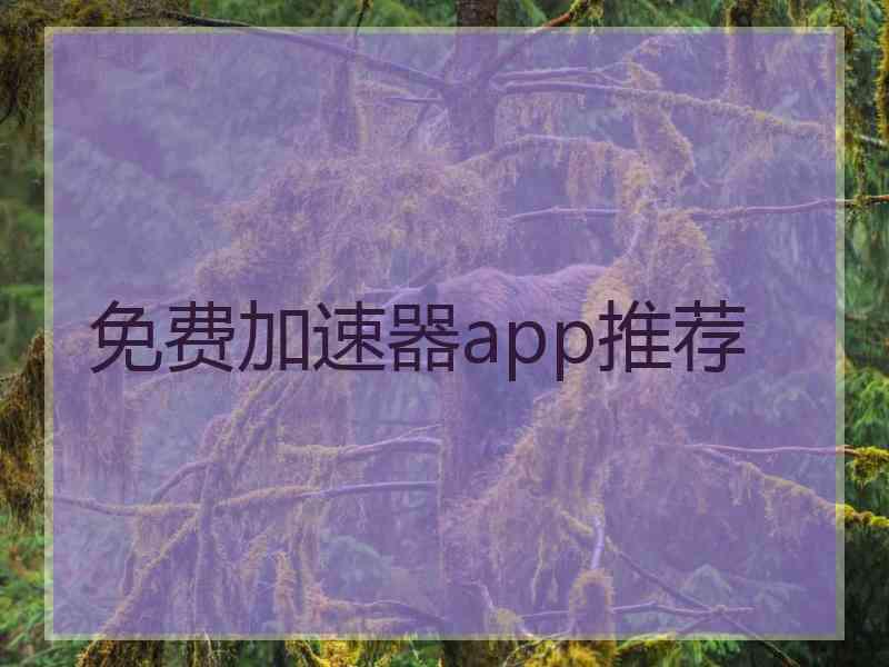 免费加速器app推荐