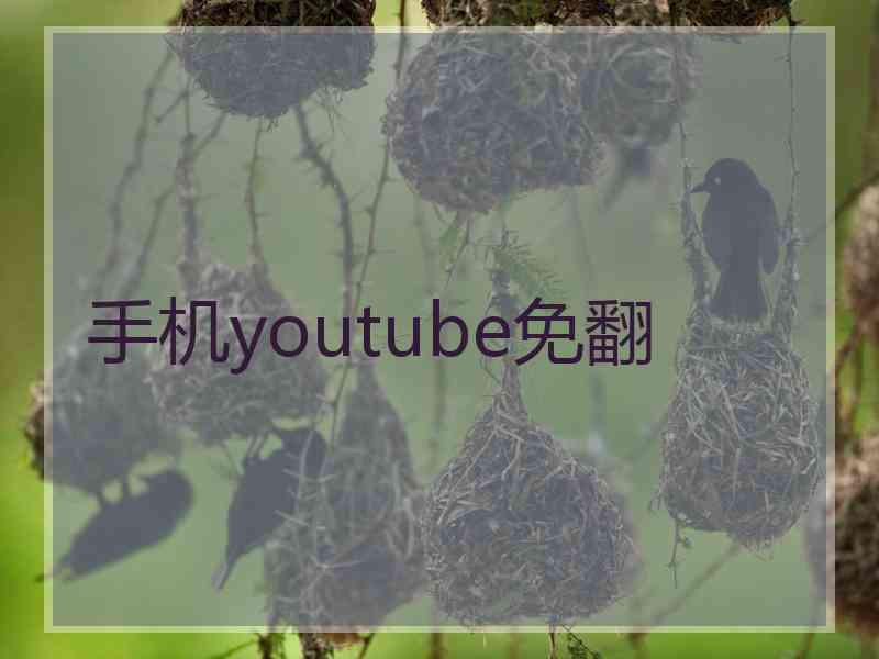 手机youtube免翻