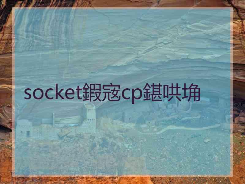 socket鍜宼cp鍖哄埆