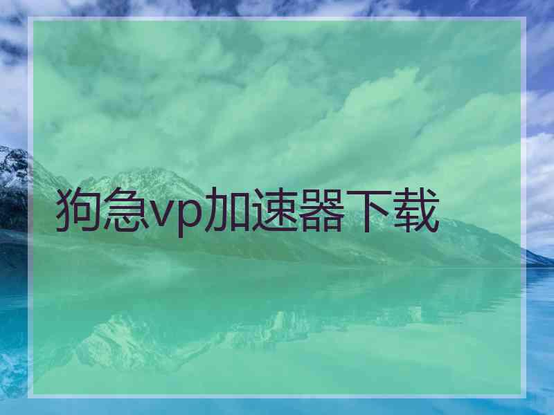 狗急vp加速器下载