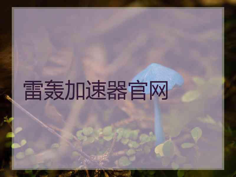 雷轰加速器官网