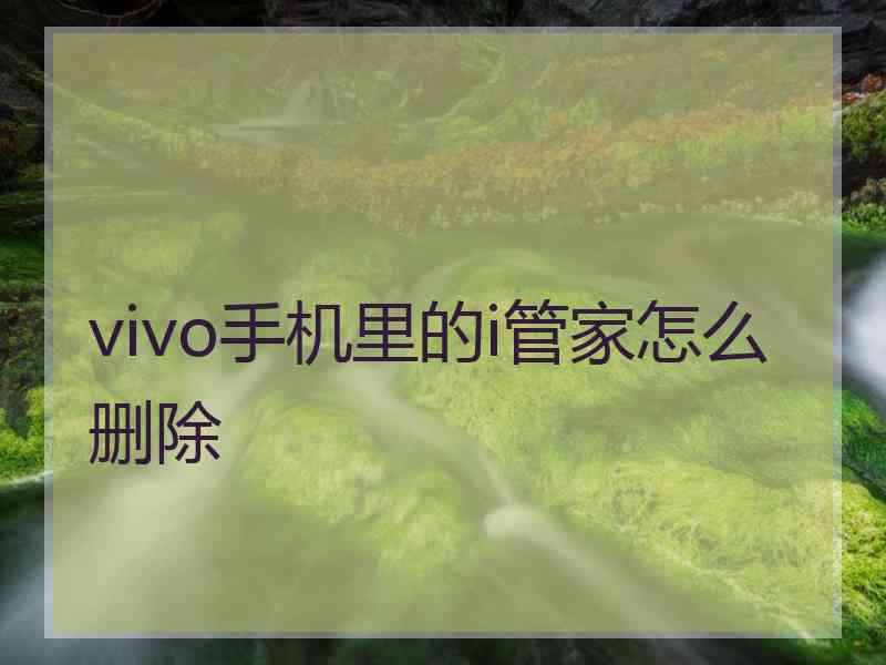 vivo手机里的i管家怎么删除