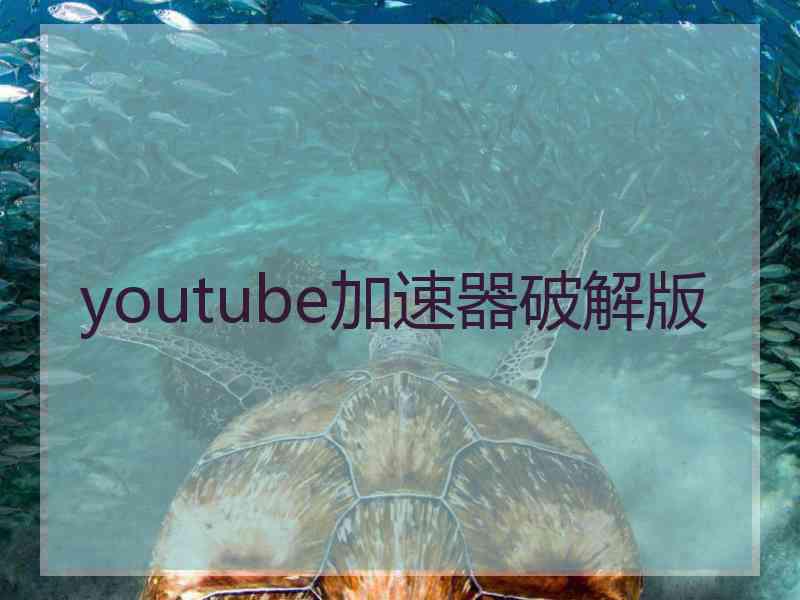 youtube加速器破解版