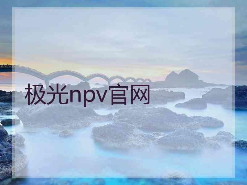 极光npv官网