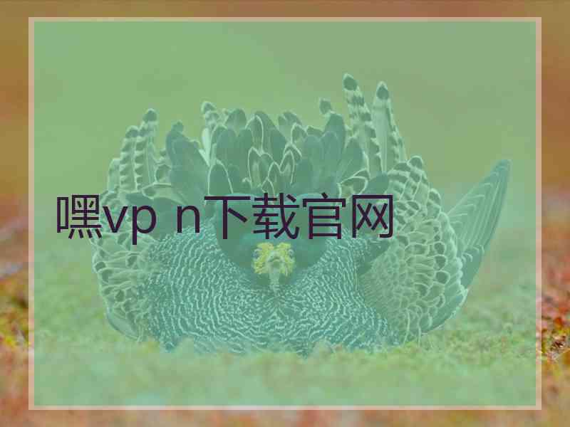 嘿vp n下载官网