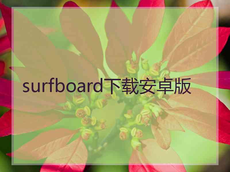 surfboard下载安卓版