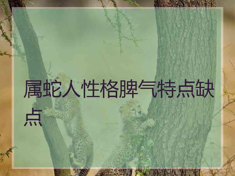 属蛇人性格脾气特点缺点