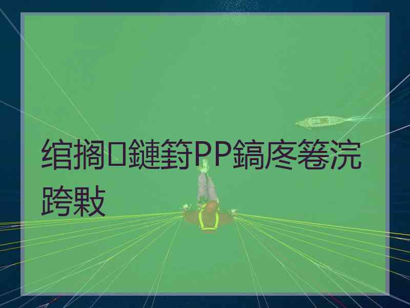 绾搁鏈篈PP鎬庝箞浣跨敤