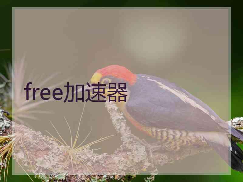 free加速器