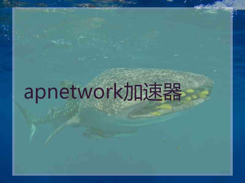 apnetwork加速器