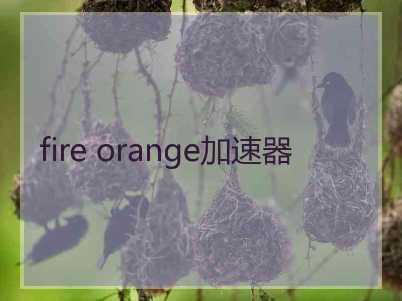 fire orange加速器