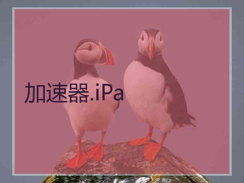 加速器.iPa