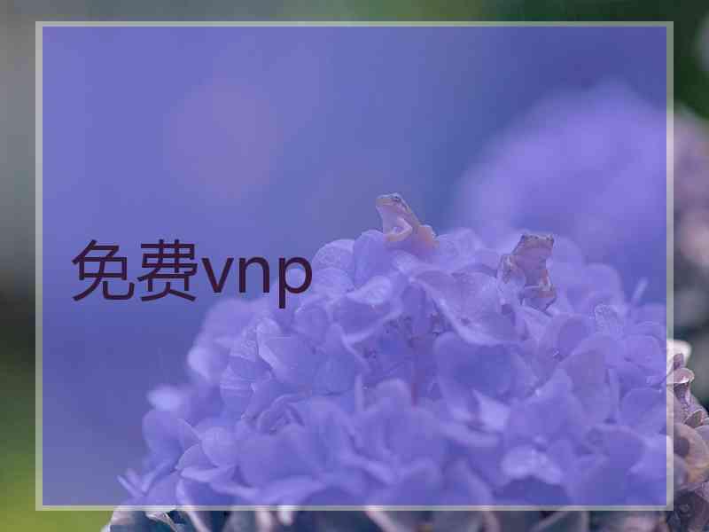 免费vnp