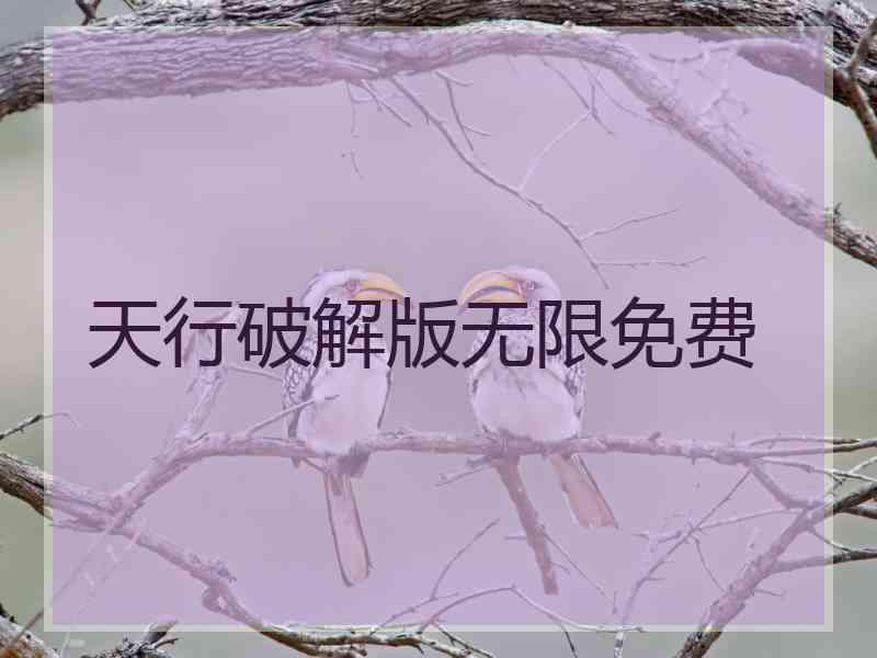 天行破解版无限免费