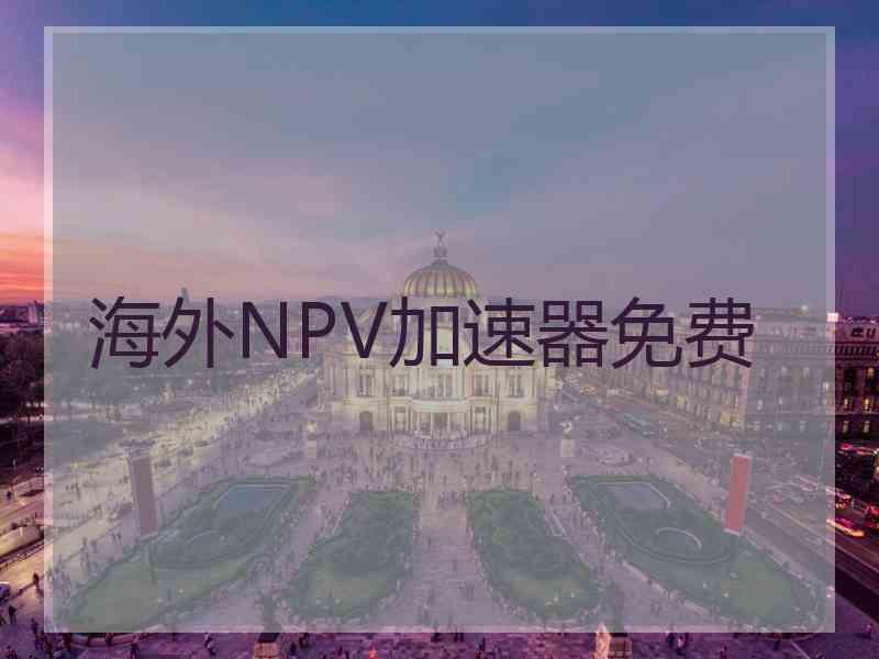 海外NPV加速器免费