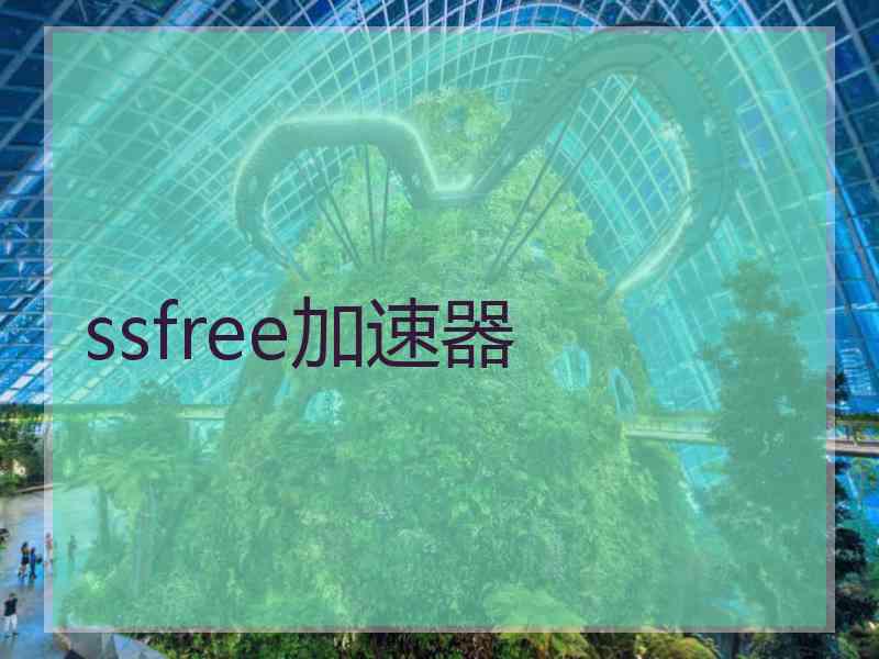 ssfree加速器