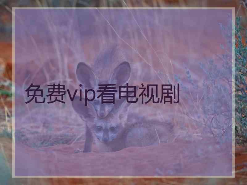 免费vip看电视剧