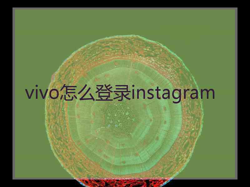 vivo怎么登录instagram