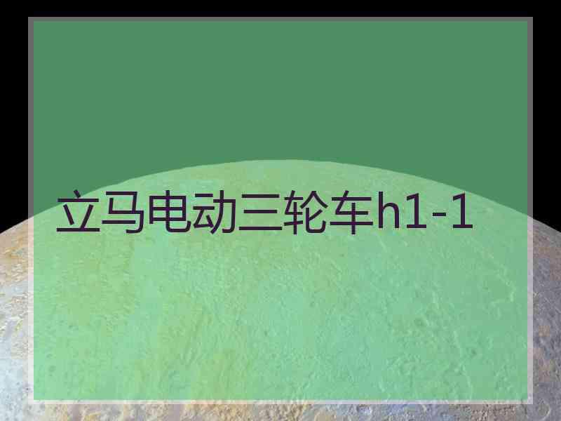 立马电动三轮车h1-1