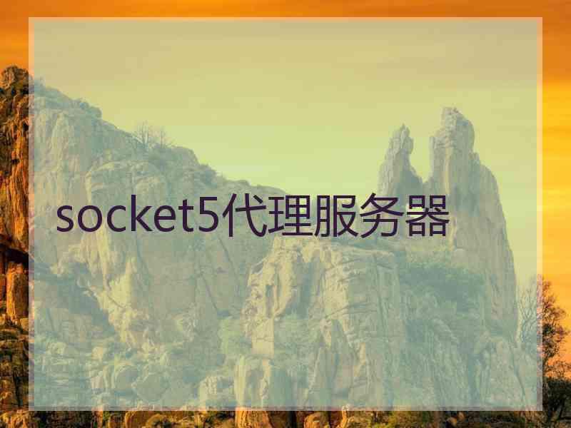 socket5代理服务器