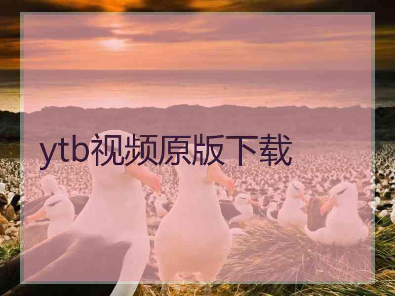 ytb视频原版下载