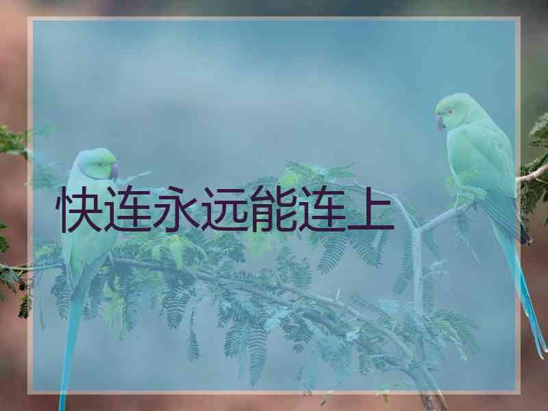 快连永远能连上