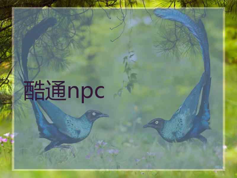 酷通npc