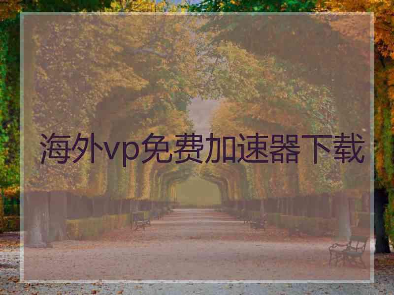 海外vp免费加速器下载