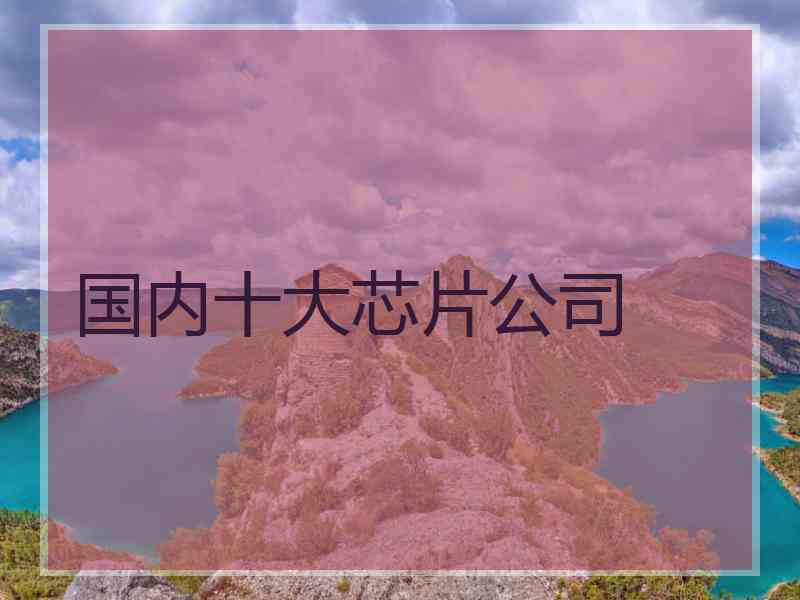 国内十大芯片公司