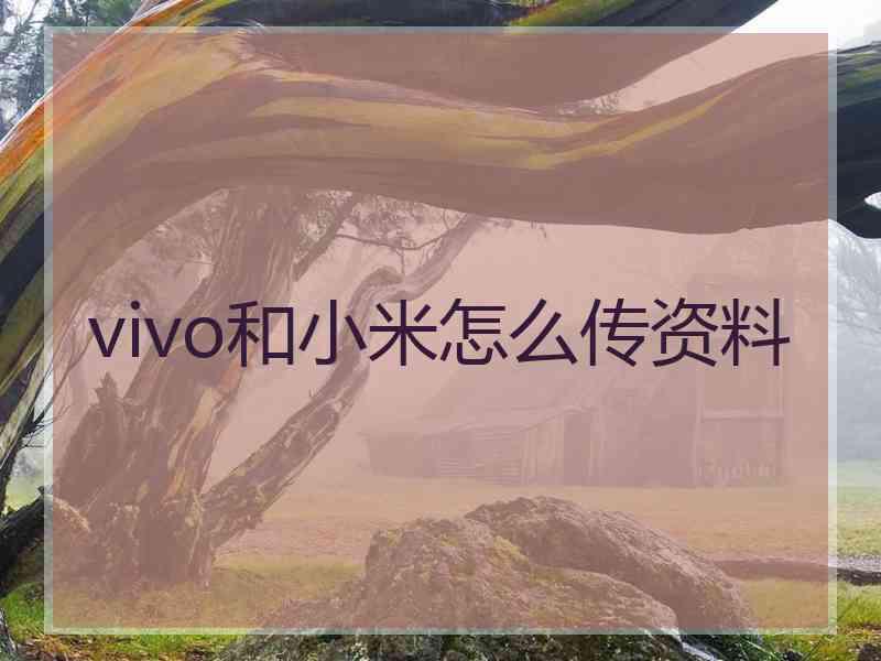 vivo和小米怎么传资料