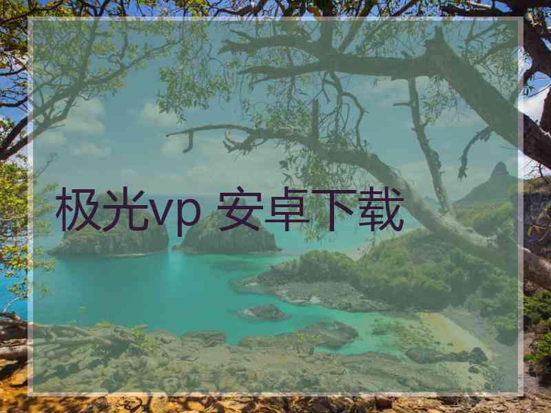 极光vp 安卓下载