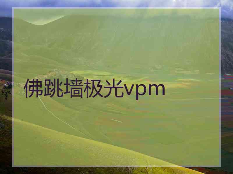 佛跳墙极光vpm