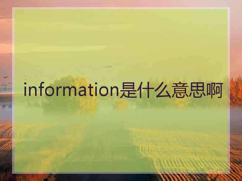 information是什么意思啊