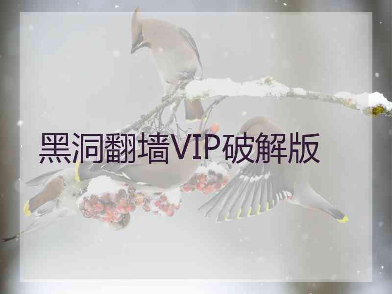 黑洞翻墙VIP破解版