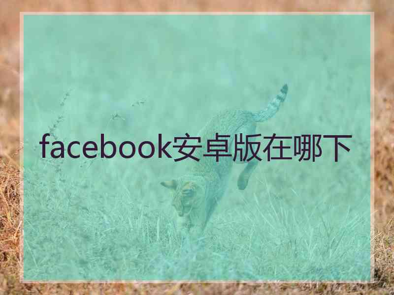 facebook安卓版在哪下