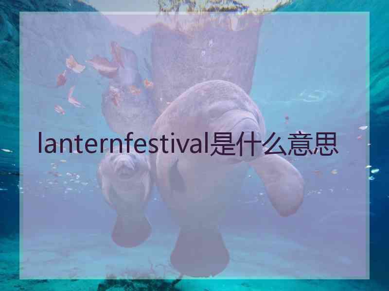 lanternfestival是什么意思