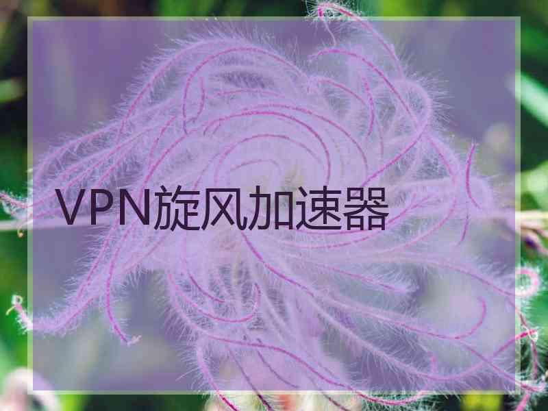 VPN旋风加速器