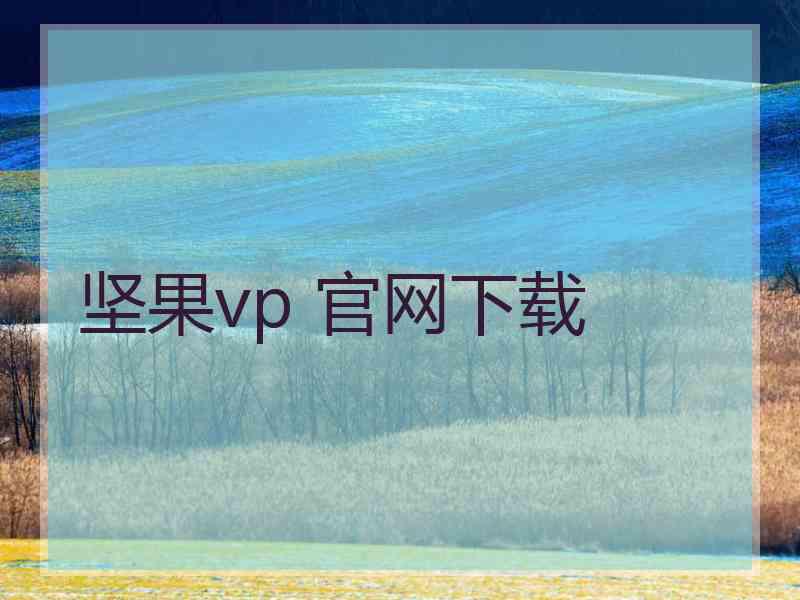 坚果vp 官网下载