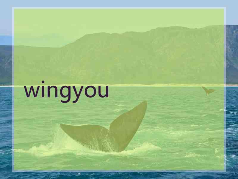 wingyou