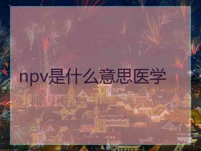 npv是什么意思医学