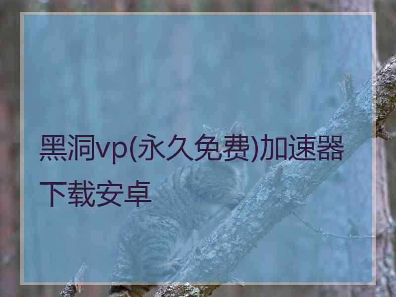 黑洞vp(永久免费)加速器下载安卓