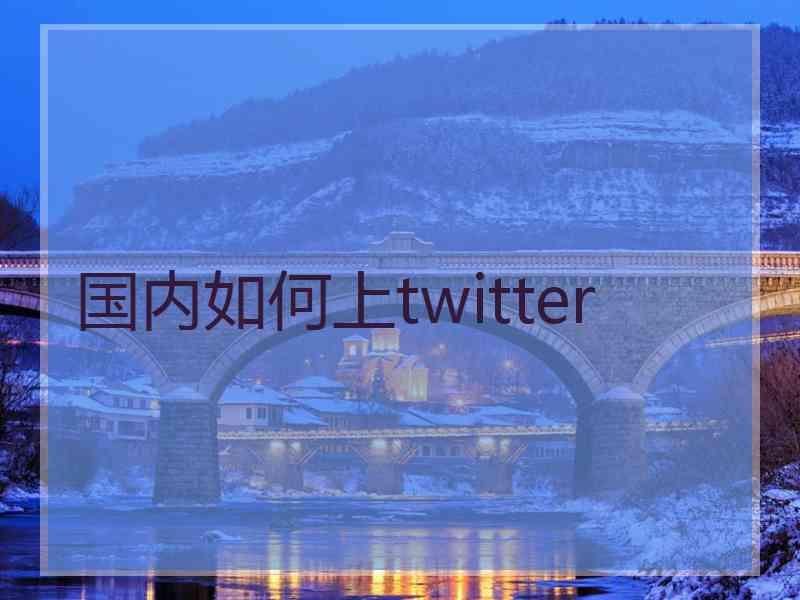 国内如何上twitter