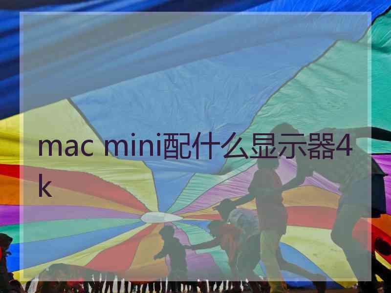 mac mini配什么显示器4k