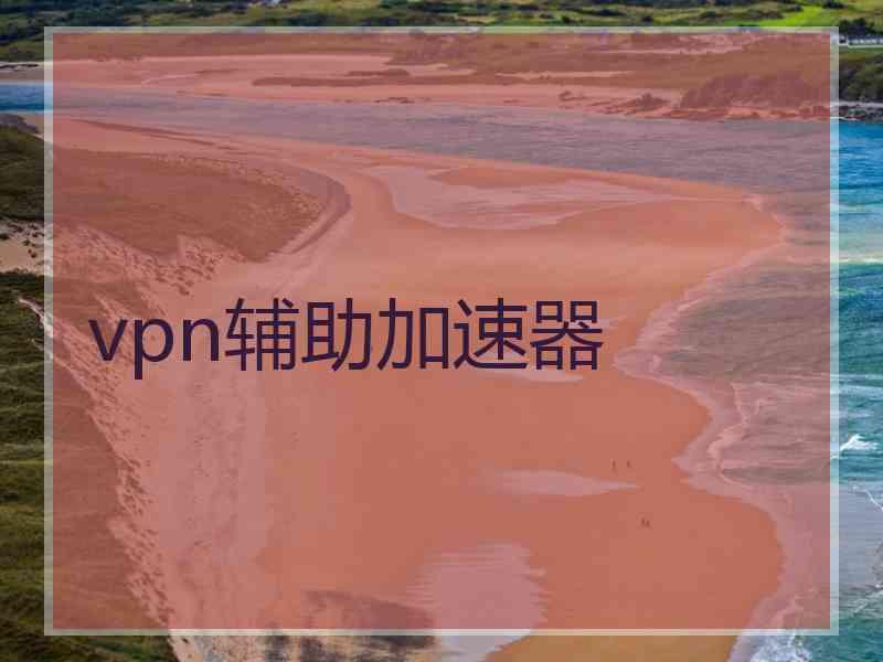 vpn辅助加速器