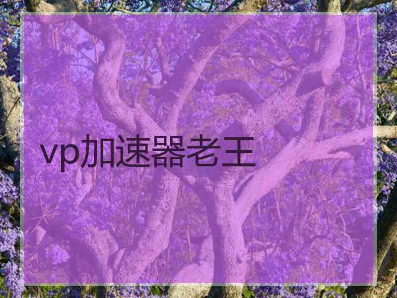 vp加速器老王