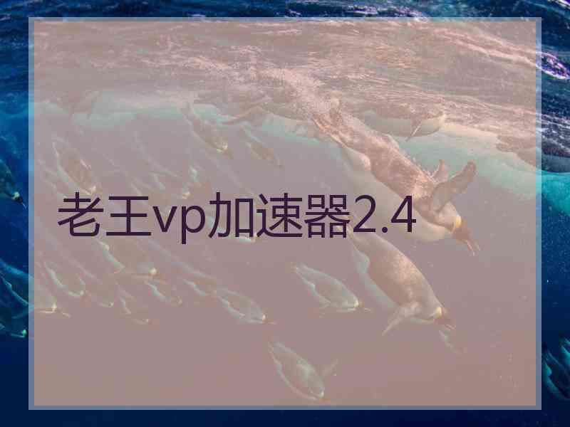 老王vp加速器2.4