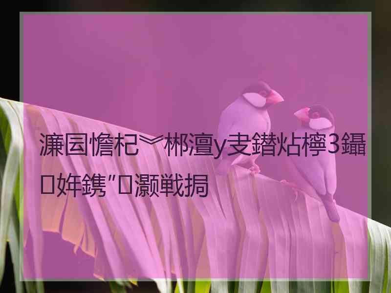 濂囩憺杞︾郴澶у叏鐟炶檸3鑷姩鎸″灏戦挶