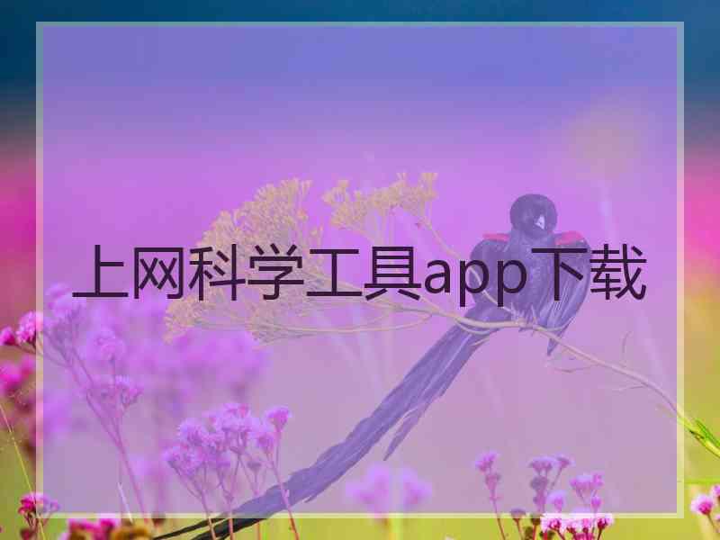 上网科学工具app下载