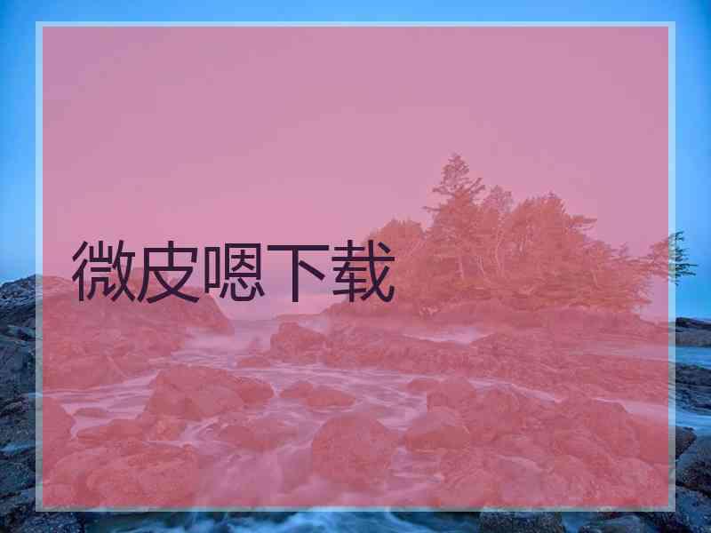 微皮嗯下载