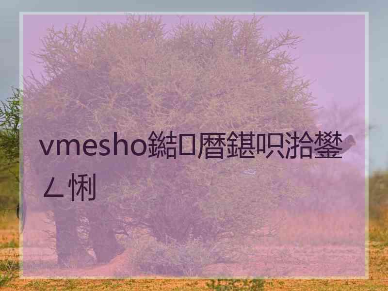 vmesho鐑暦鍖呮湁鐢ㄥ悧